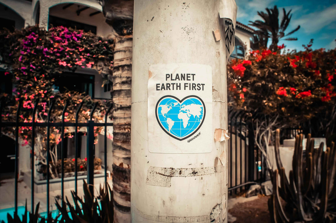 Sustainable Fashion: Conscious Clothing for a Better Planet | WorldWild